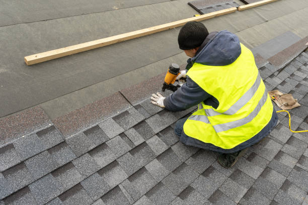 Best Roof Gutter Cleaning  in East Newark, NJ