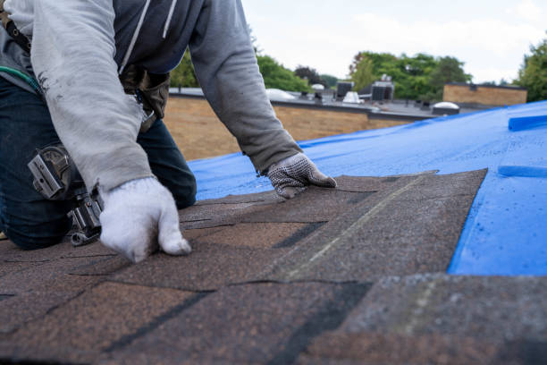 Best Roof Leak Repair  in East Newark, NJ